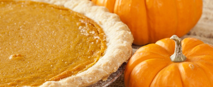 Reduced Carb Pumpkin Pie